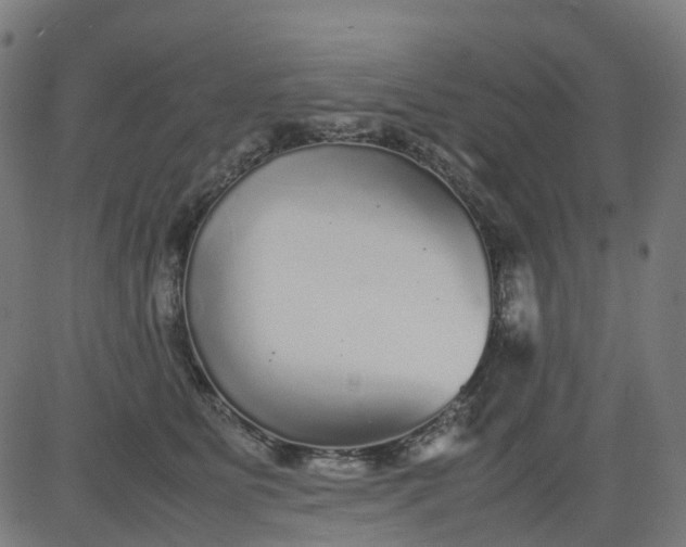 X0000082740515200702091906