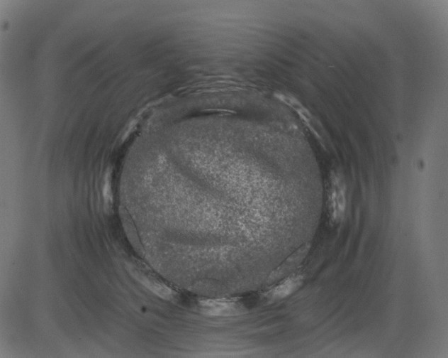 X0000082740516200702091906