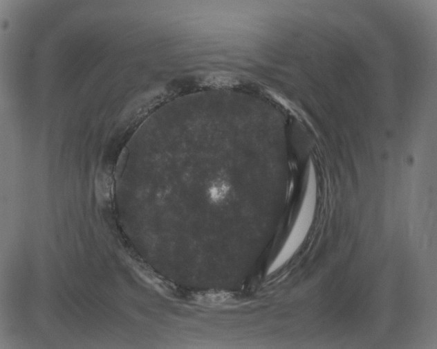 X0000082740517200702091906