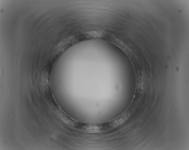 X0000082740518200702091906