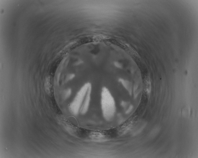 X0000082740519200702091906