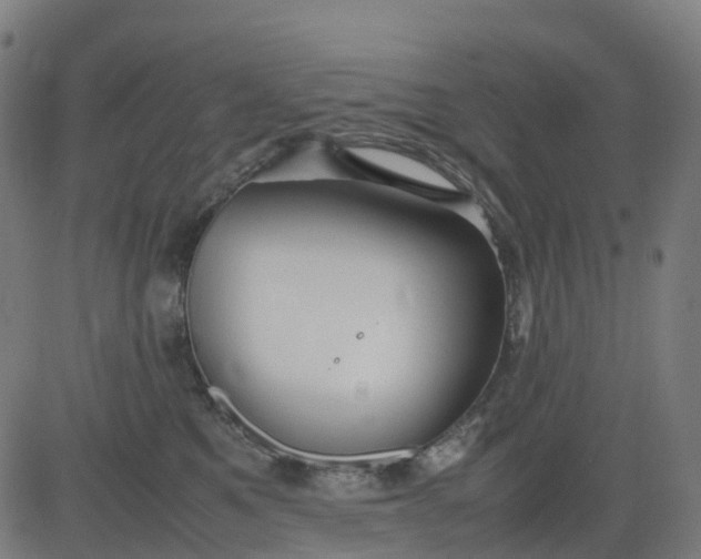 X0000082740521200702091906