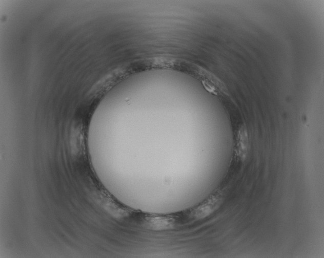 X0000082740522200702091906