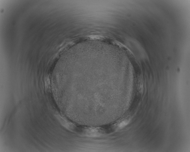 X0000082740523200702091906