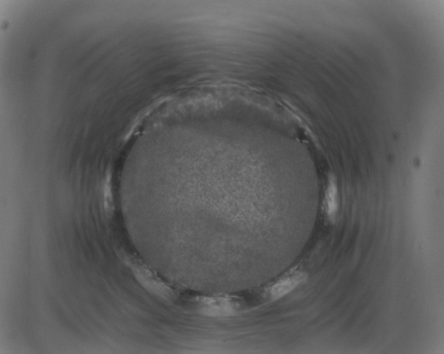 X0000082740524200702091906