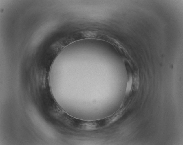 X0000082740525200702091906