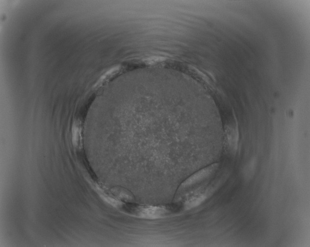 X0000082740527200702091906