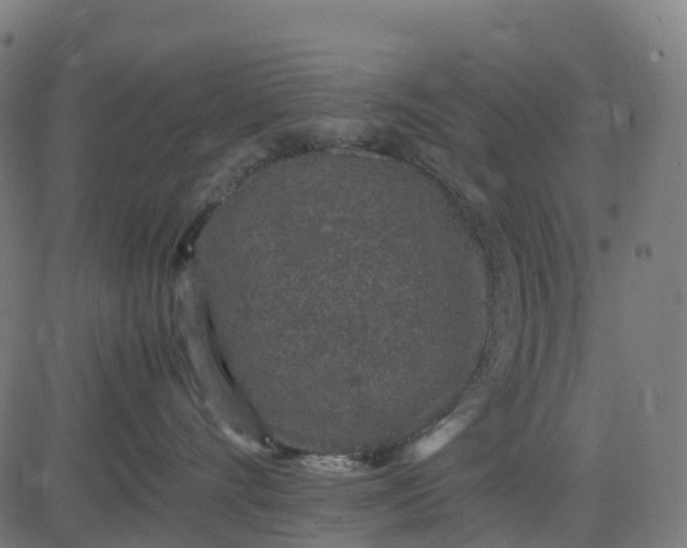 X0000082740528200702091906