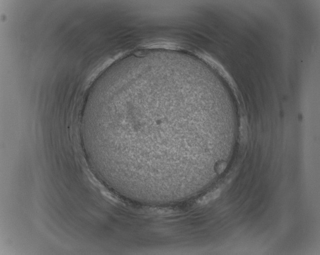 X0000082740529200702091905