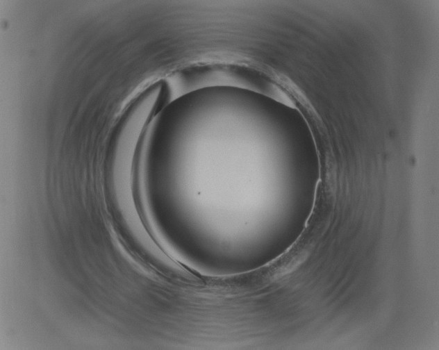 X0000082740530200702091905