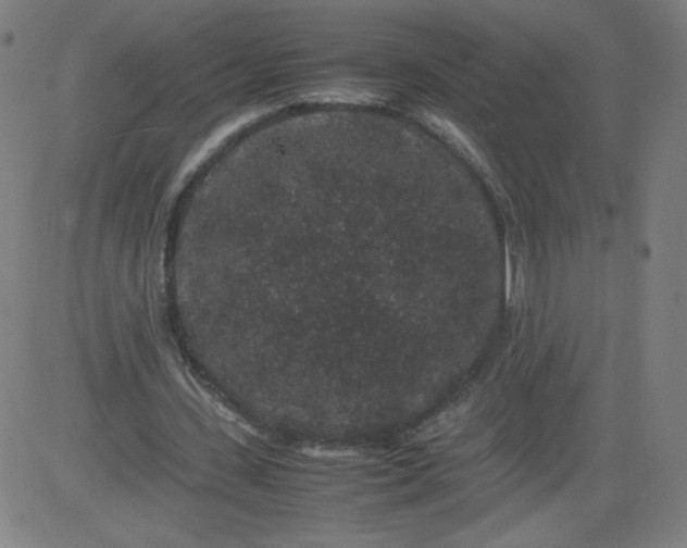 X0000082740531200702091905