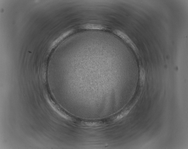 X0000082740533200702091906