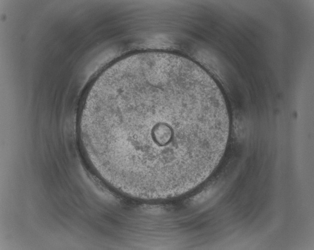 X0000082740534200702091906