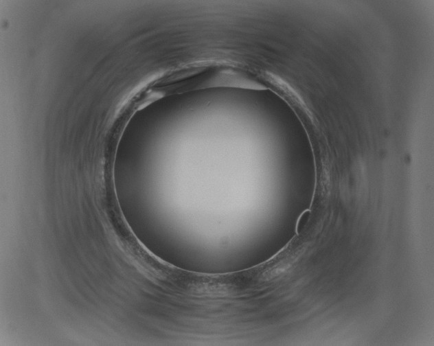 X0000082740535200702091906