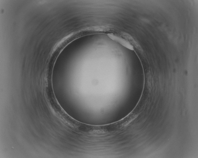 X0000082740536200702091906