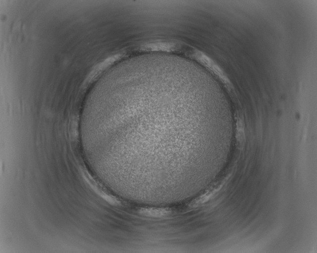 X0000082740537200702091906