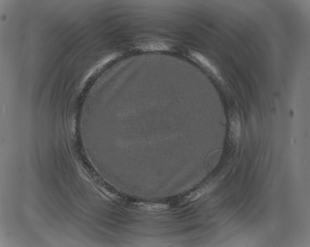 X0000082740539200702091906