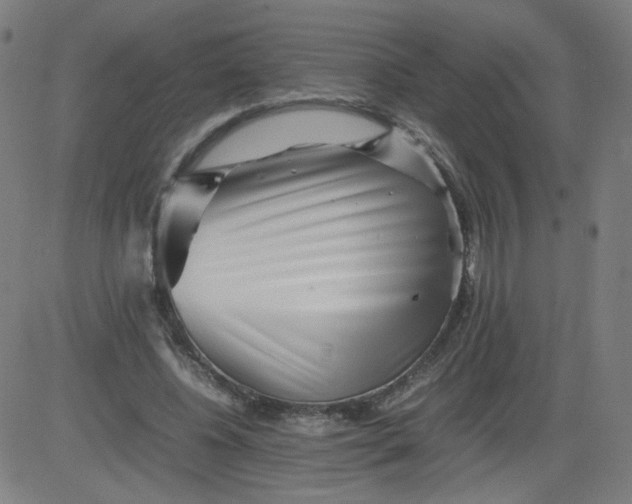 X0000082740540200702091906