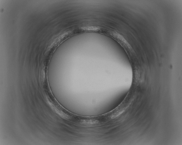 X0000082740541200702091906