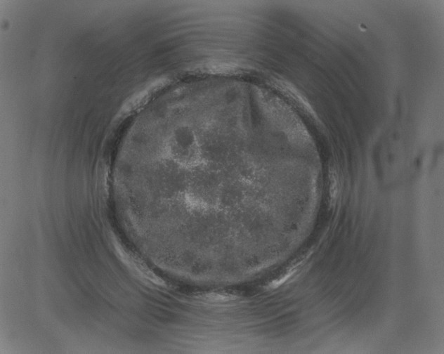 X0000082740542200702091906