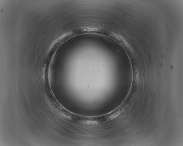 X0000082740543200702091906