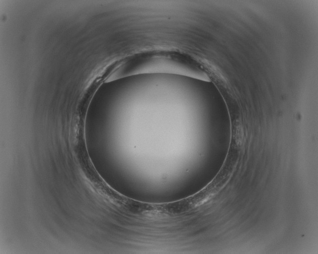 X0000082740544200702091906