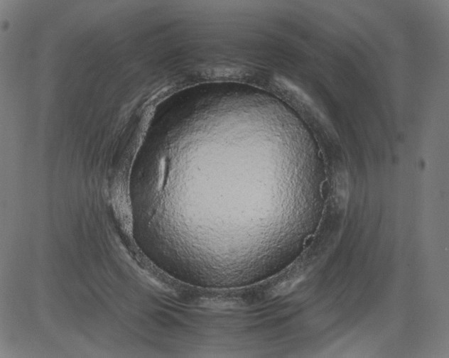 X0000082740545200702091906