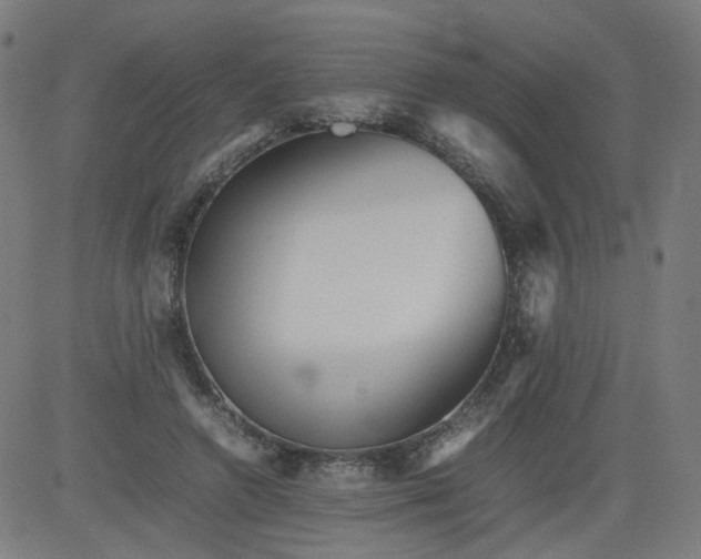 X0000082740546200702091906