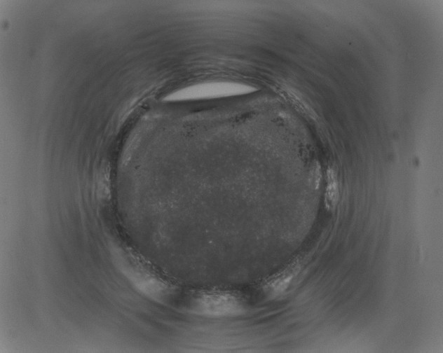 X0000082740547200702091906