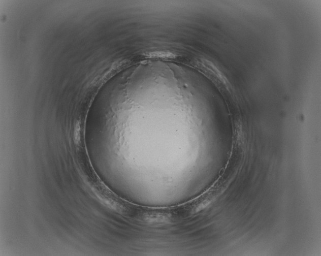 X0000082740549200702091906