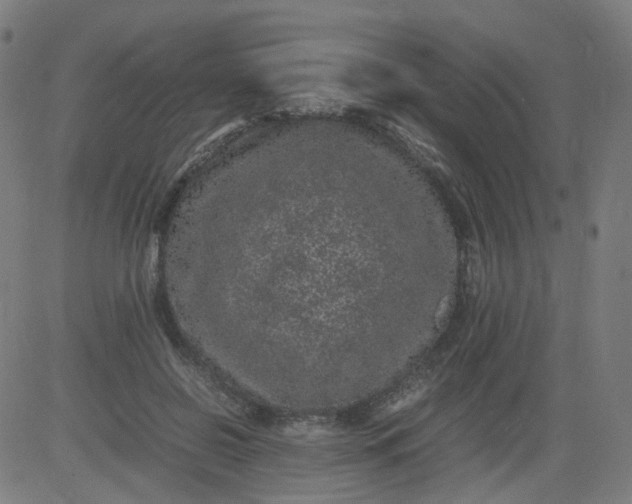 X0000082740550200702091906