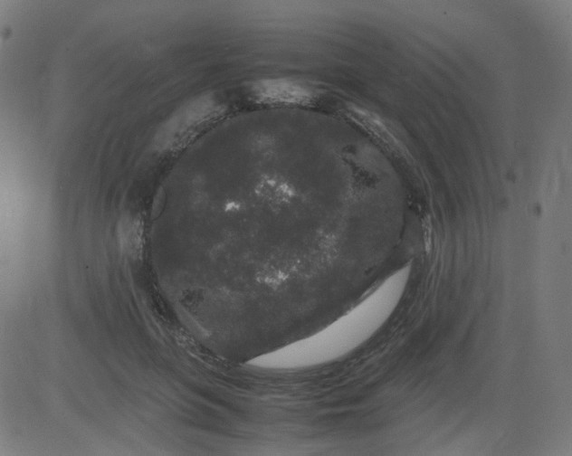 X0000082740551200702091906