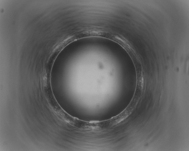 X0000082740552200702091906