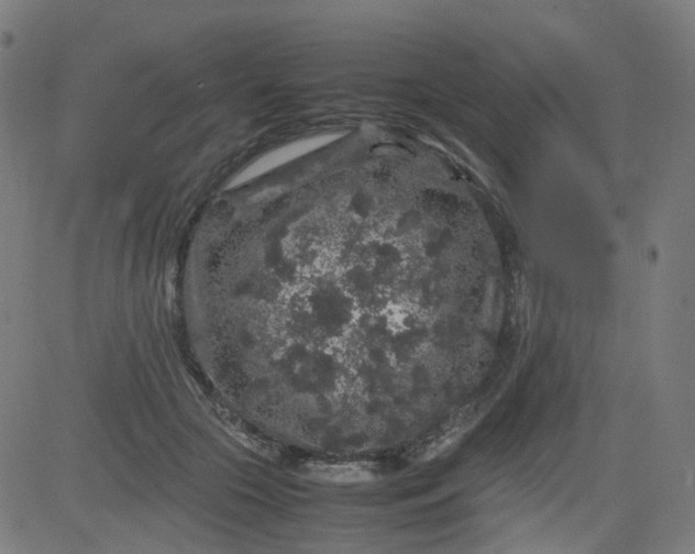 X0000082740553200702091906