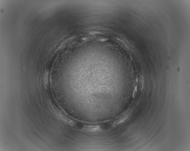 X0000082740554200702091906