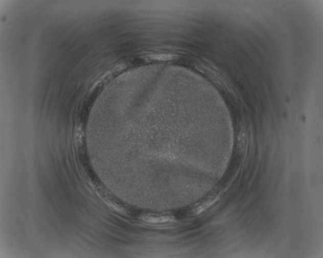 X0000082740555200702091906