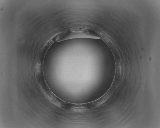 X0000082740556200702091906