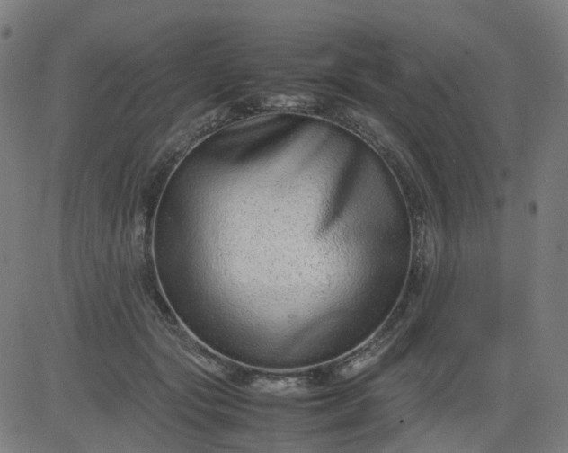 X0000082740557200702091906