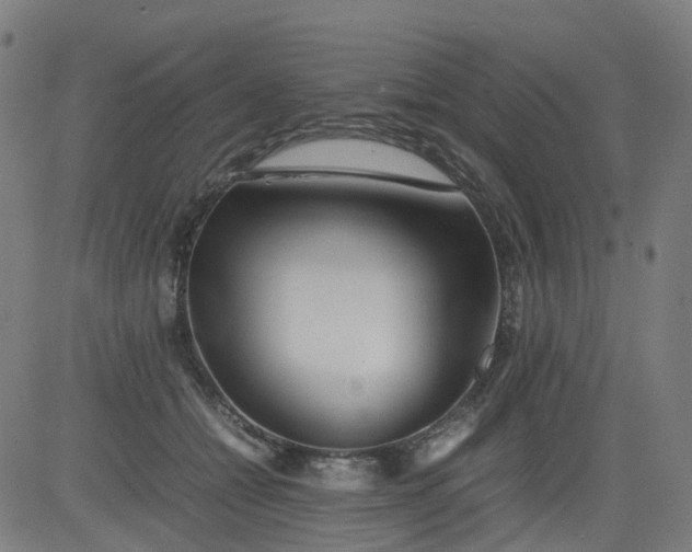 X0000082740558200702091906