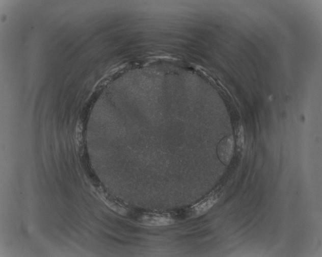 X0000082740559200702091906