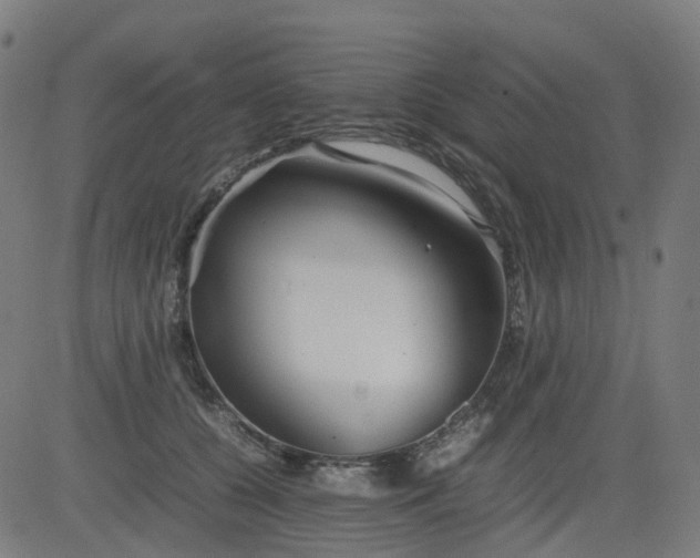 X0000082740560200702091906