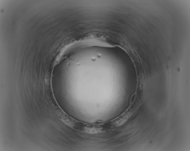 X0000082740561200702091906