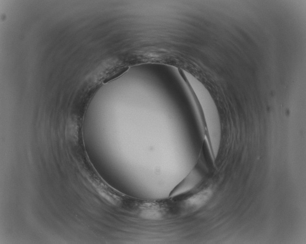 X0000082740562200702091906