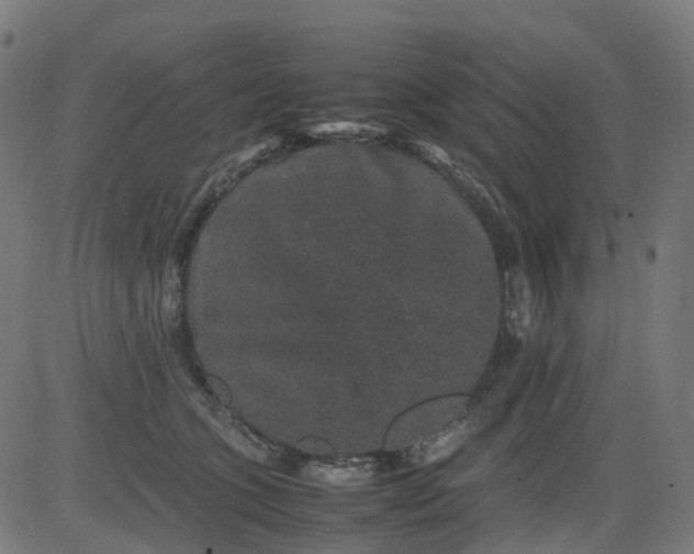 X0000082740563200702091906