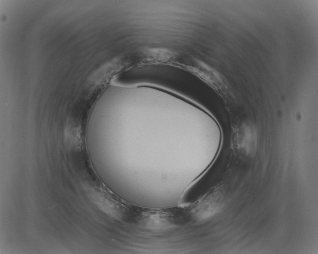 X0000082740564200702091906