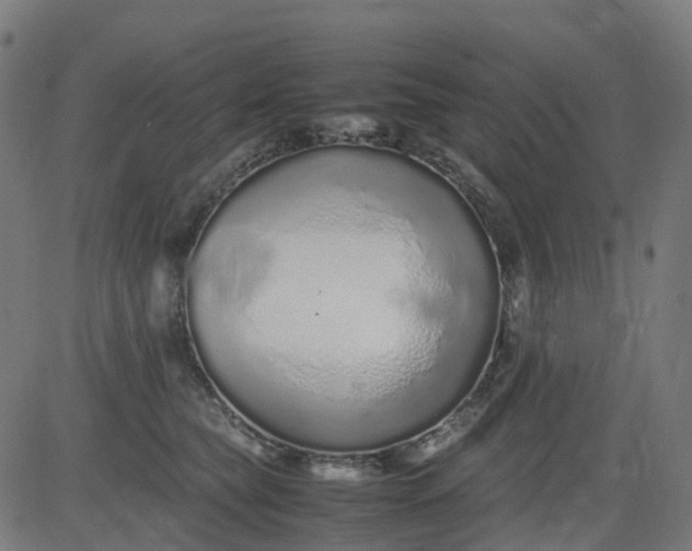 X0000082740565200702091906