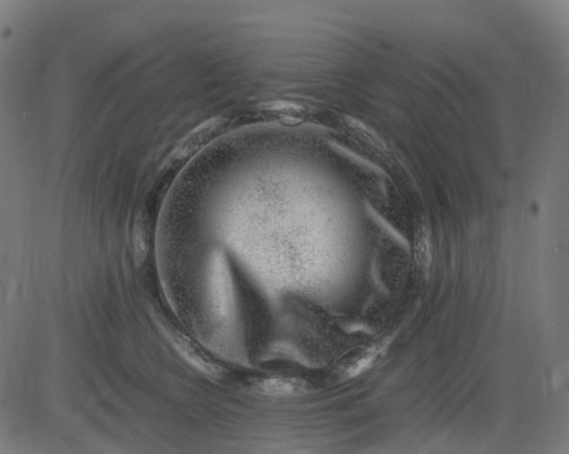 X0000082740566200702091906