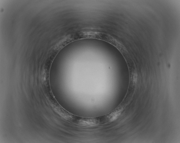 X0000082740567200702091906