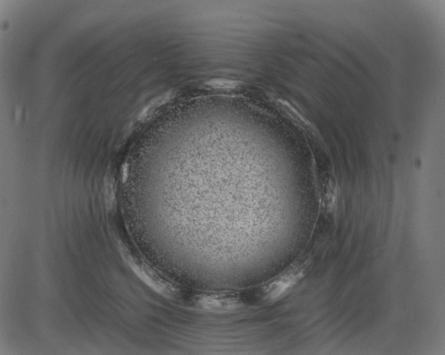 X0000082740568200702091906