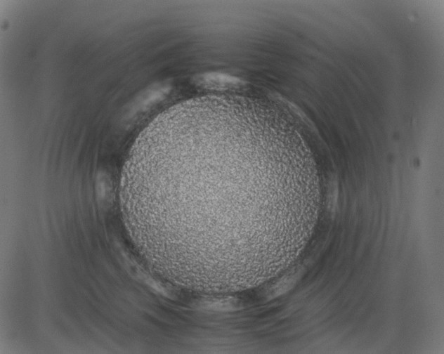 X0000082740569200702091906